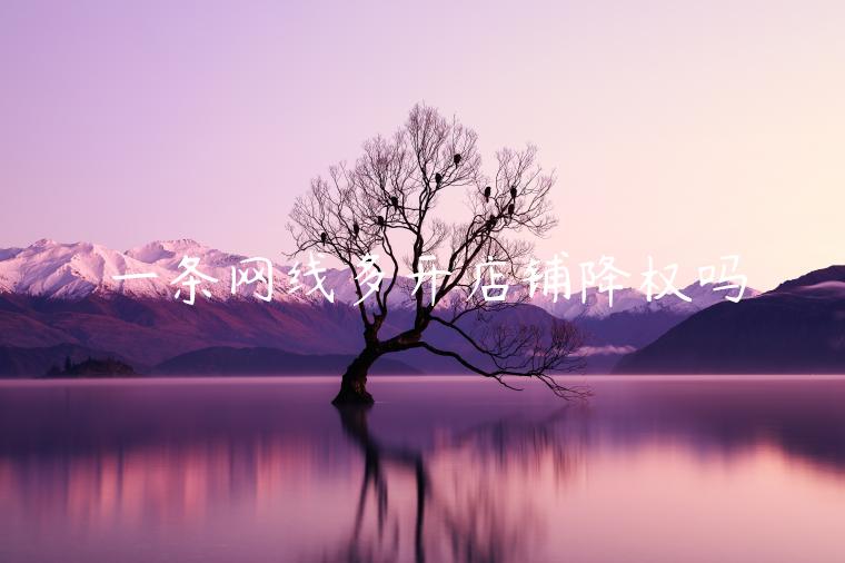 一条网线多开店铺降权吗