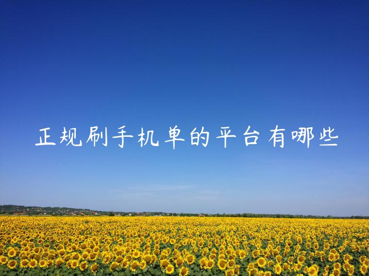 正规代刷平台官网 (正规代刷平台)-初仟社区