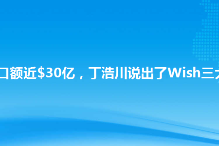 年出口额近30亿丁浩川说出了wish三大策略