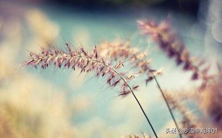 淘宝推广最好的软件有哪些?6款淘宝推广软件下载