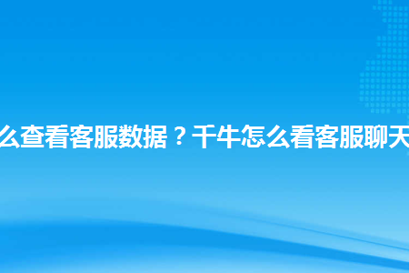 千牛怎么查看客服数据千牛怎么看客服聊天记录